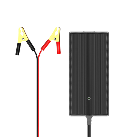 450W-7.jpg